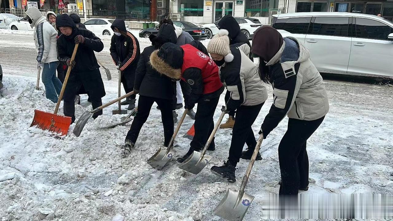 近期，沈阳市经历了今年冬天以来的最强寒潮，连续降雪降温，低温雨雪冰冻灾害风险高，