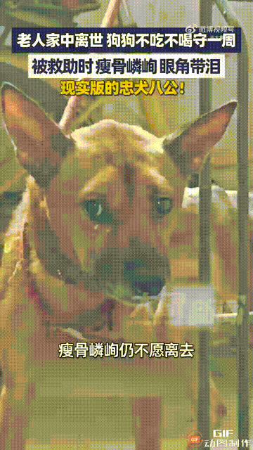 看完眼泪真的止不住了！重庆一位70多岁的独居老人不慎在家中离世，亲友和邻居都没有