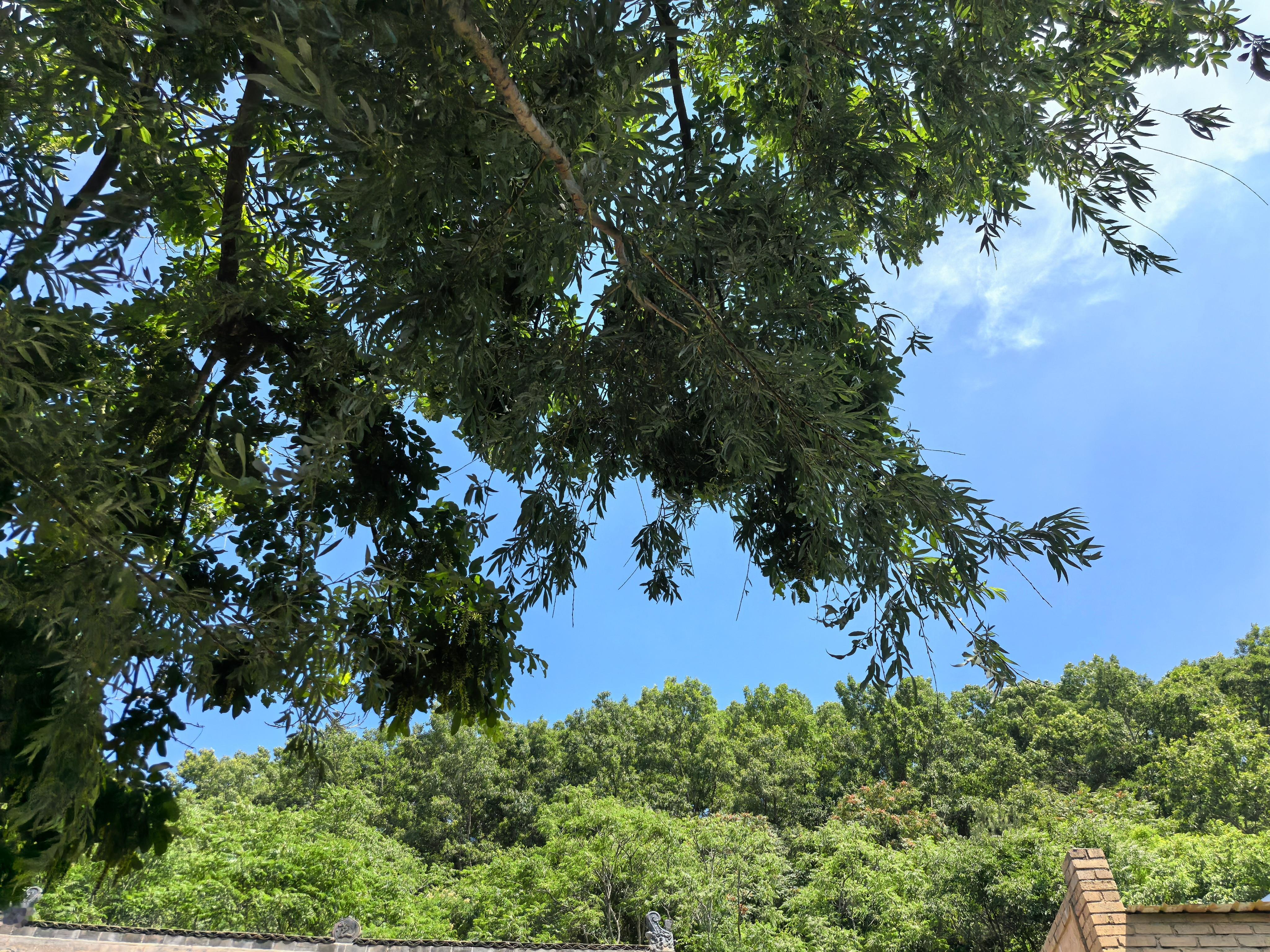 早安又是羡慕退休人员的一天，没有开不完的会，没有搬不完的砖 