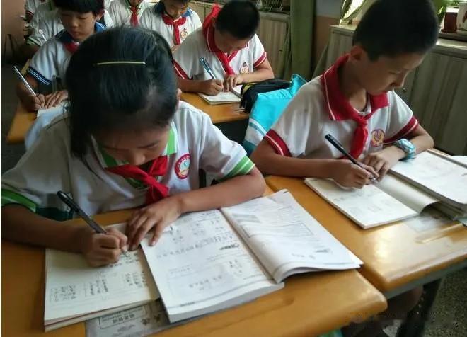 陪读多年才知道，小学阶段有很多坑不能踩！

1、成为学霸的秘诀只有一个，那就是提