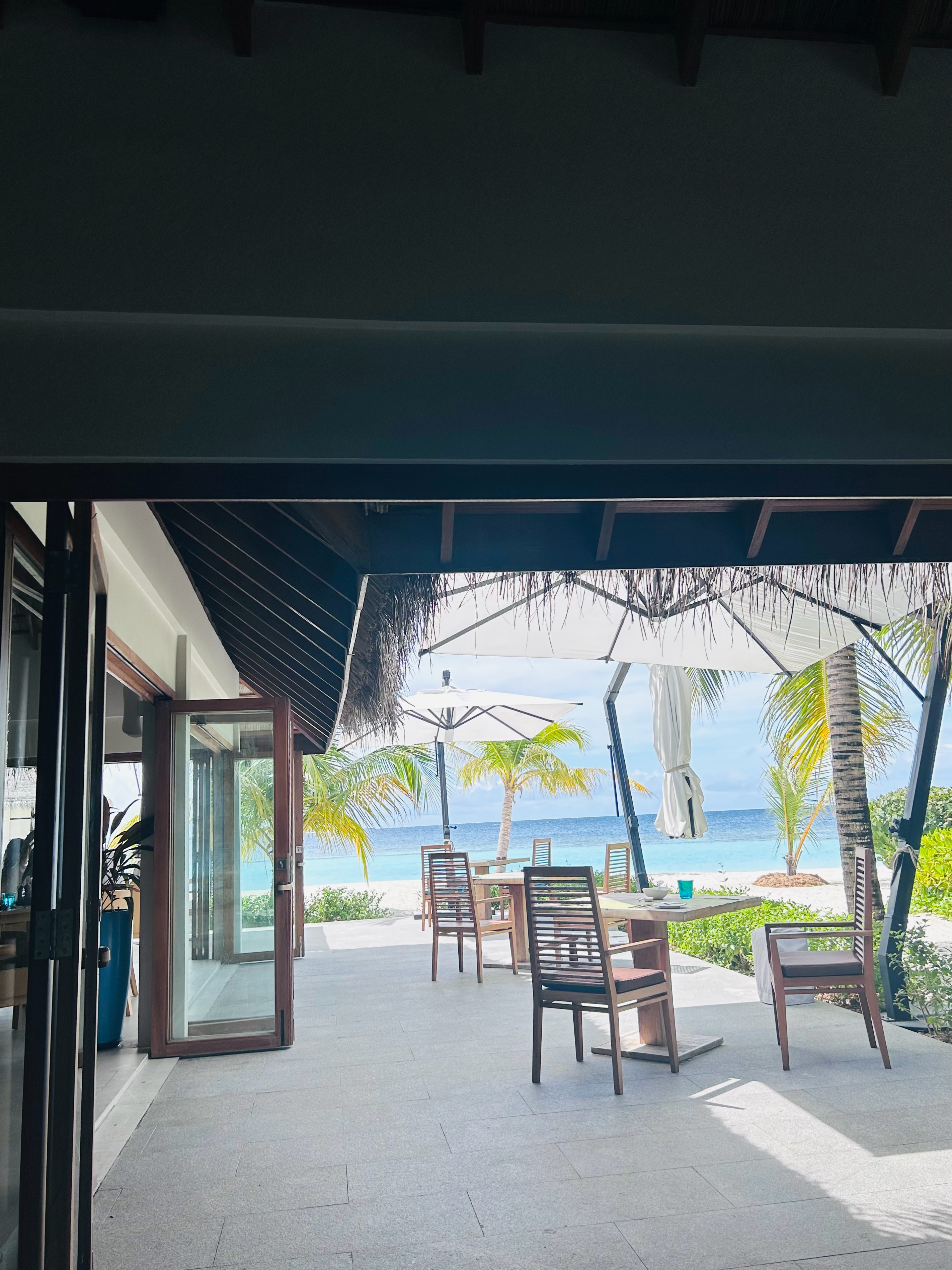 当岛民的第一天🫣  ​​​