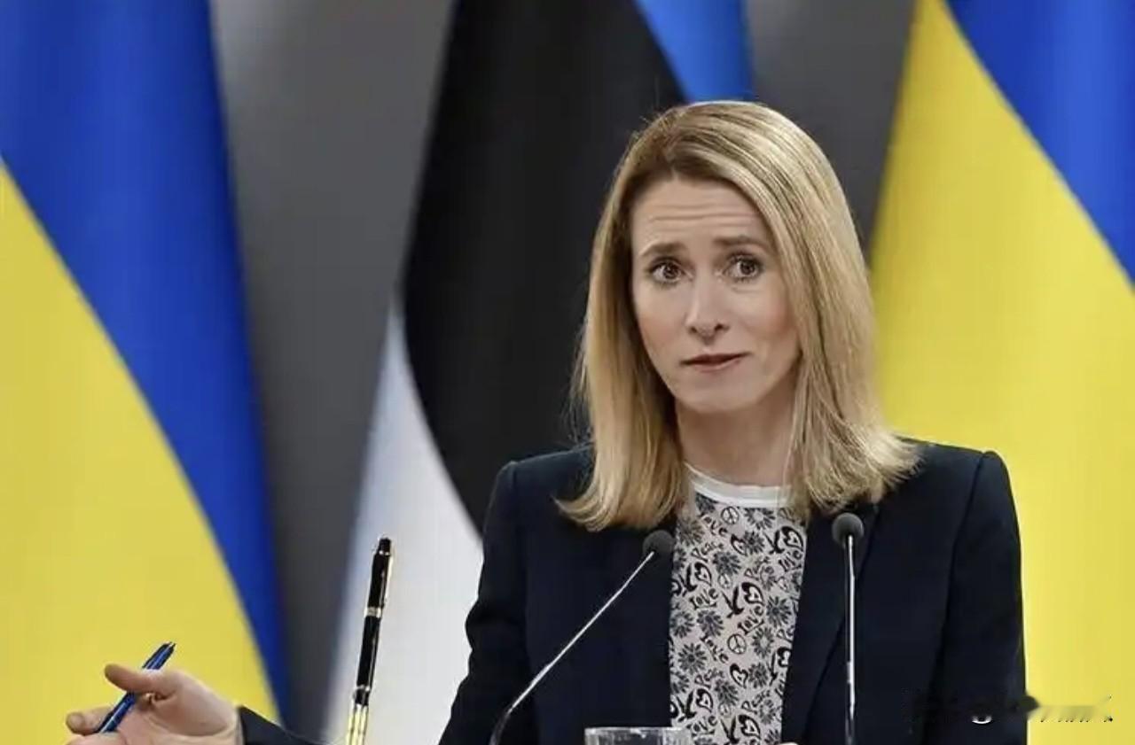 卡拉斯再次展示双标。欧洲外交事务负责人卡娅·卡拉斯针对伊朗封锁霍尔木兹海峡，她援