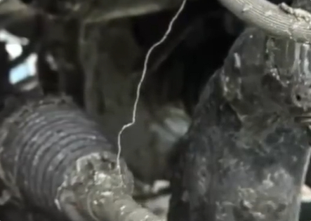 40余车碾压海鲜废料臭到无法开：花数千元清洗几次仍有味道 