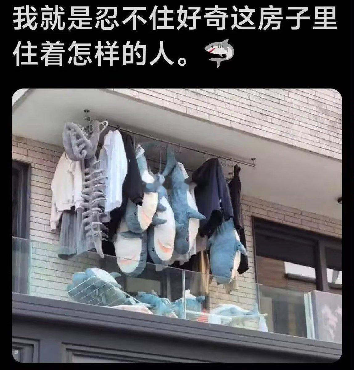这是，百京人住所吗？？？？ ​​​