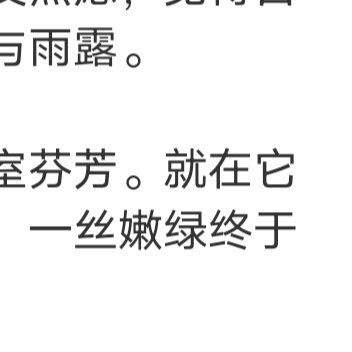 真正在乎你的人，口袋里总是有糖，而不是大道理。他知道江湖险恶，并且只想照顾好你。