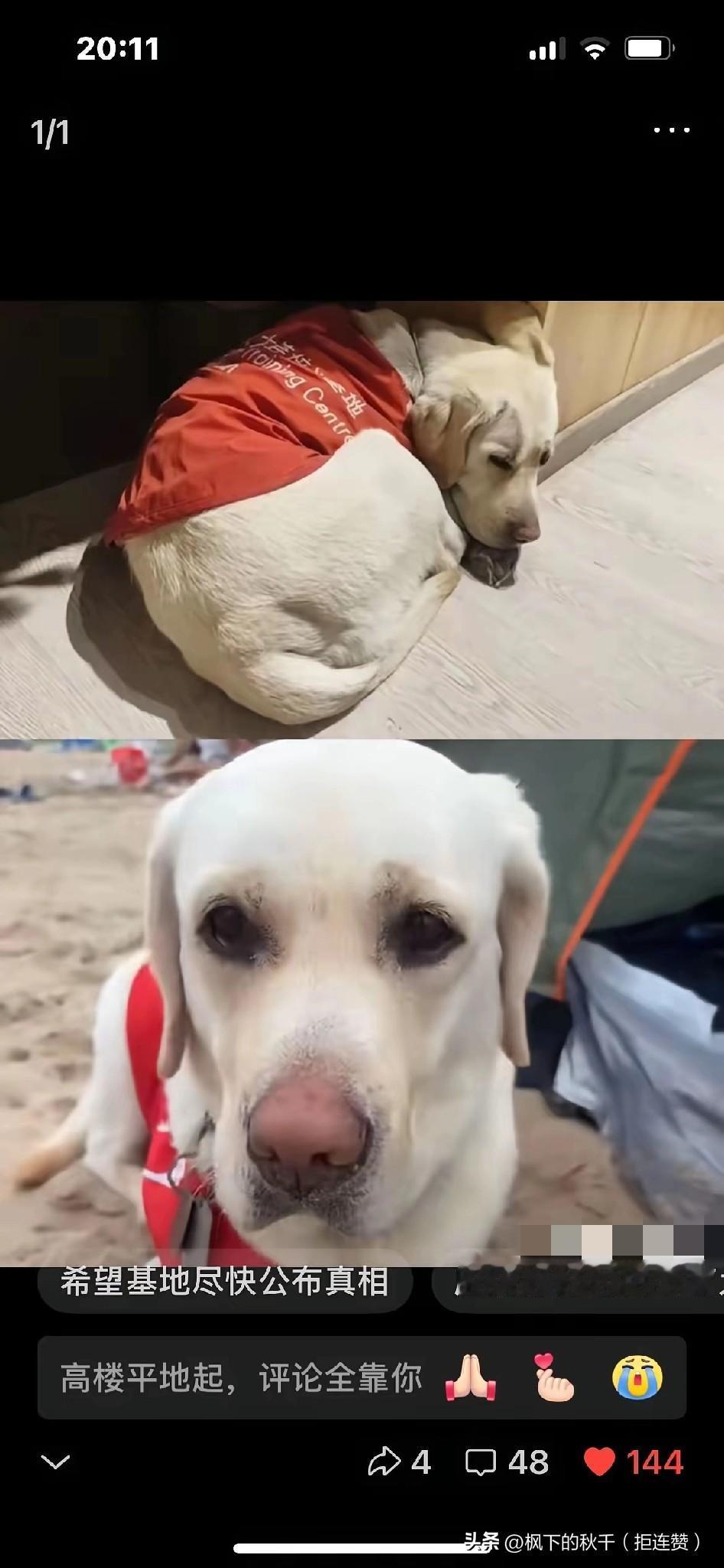 家人们，咱就说这操作绝了！刚给大连市残联打电话，要求发布芬迪视频，还让大连的朋友