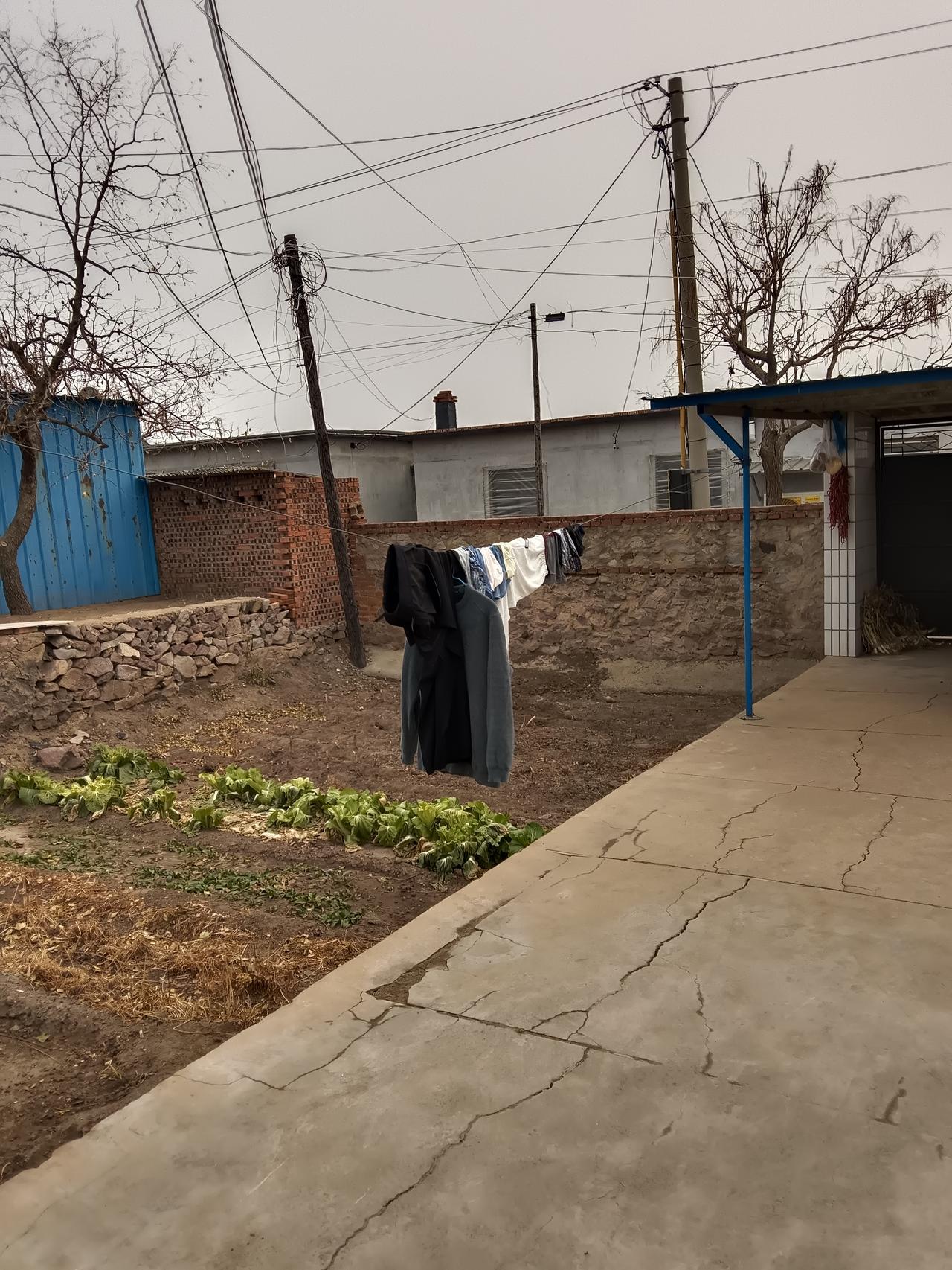 星期五上县时洗的衣服，在县里待了3天，今天是星期一早晨回来一看，还原封不动的在外