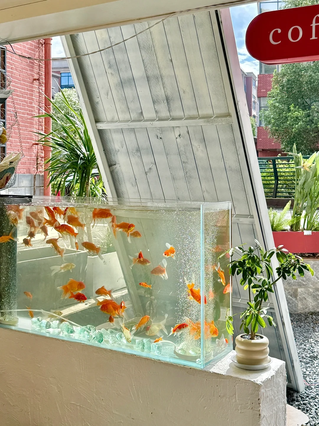 （长沙）适合夏天放空待一下午的6家氛围小店