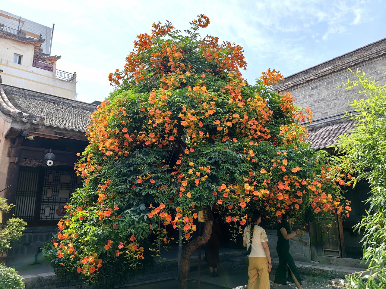 🎉 天大的喜事！2026年第一签，我中签啦！ 🧧
 
刚收到证券公司的短信，