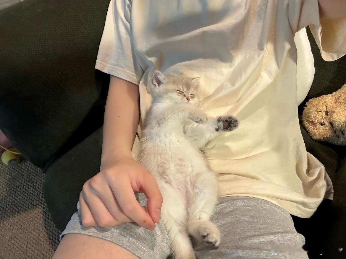 温情时刻🦦 ​​​