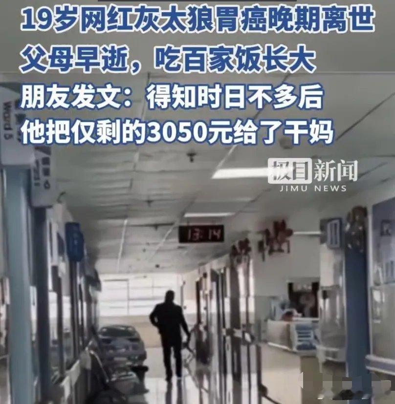 博主灰太狼因胃癌英年早逝 博主灰太狼因胃癌英年早逝 】据津云、齐鲁晚报报道，12