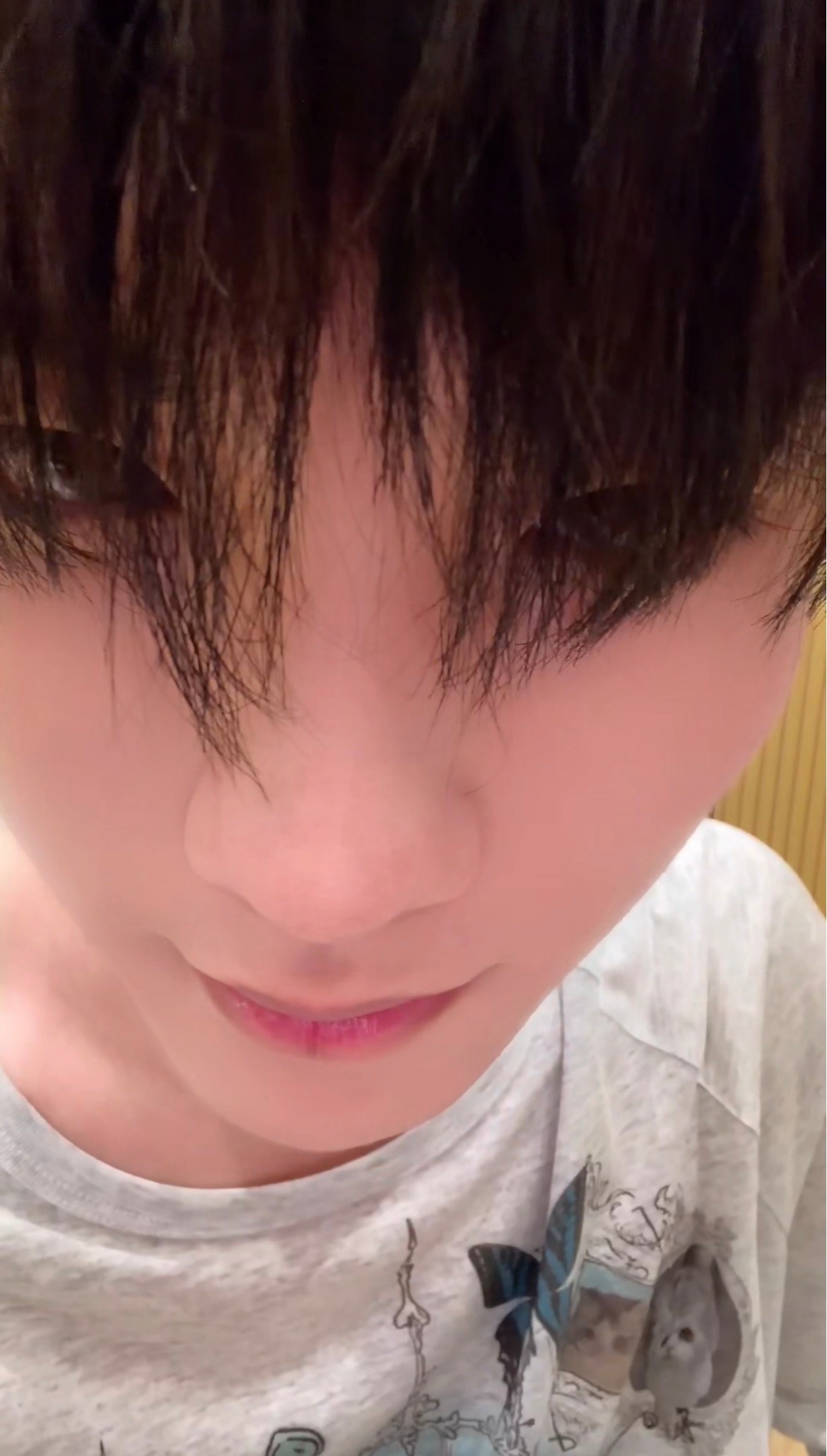 呆子 