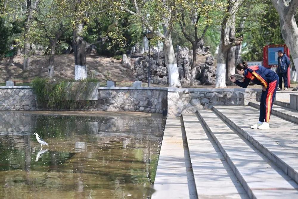 休闲朱袁张1块2毛9中国女排 南开大学袁心玥 