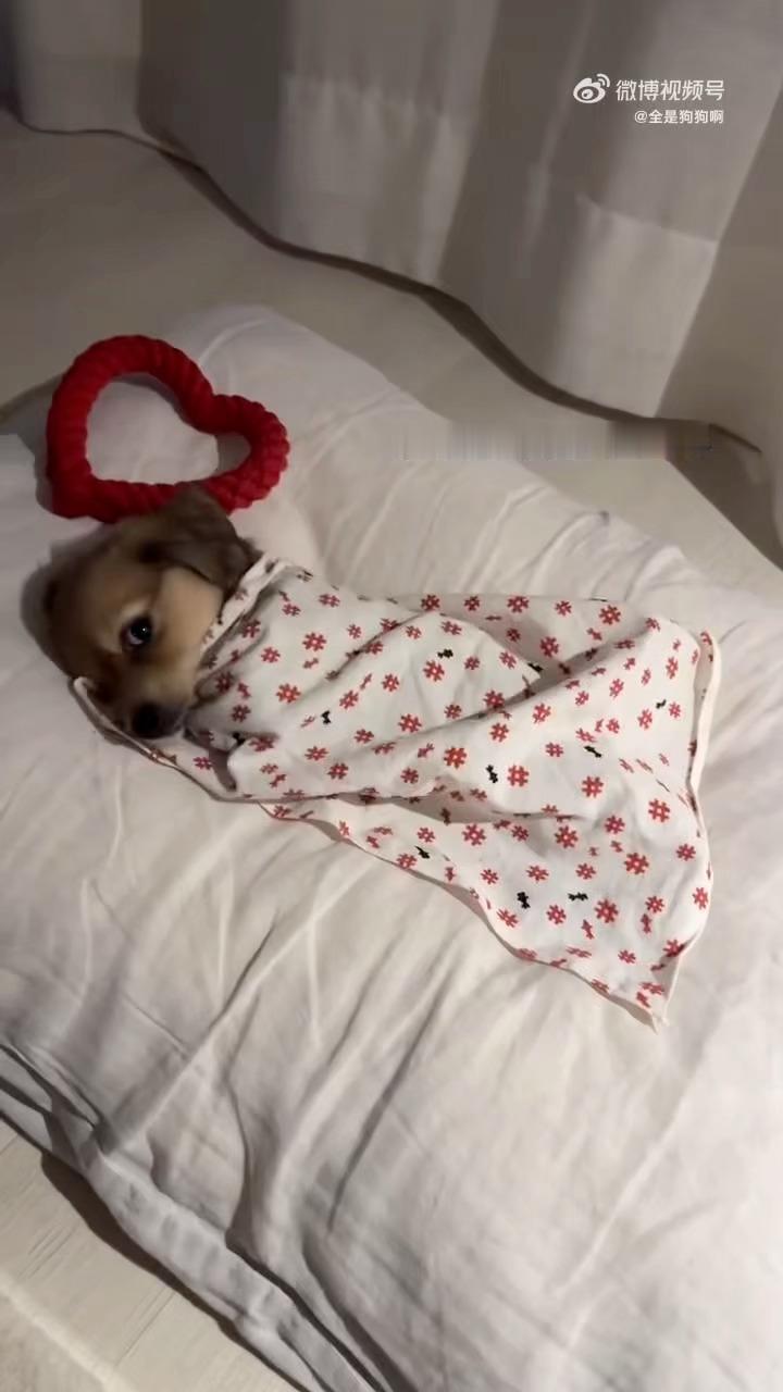 完全海楼。这是我的宝贝🐽 ​​​