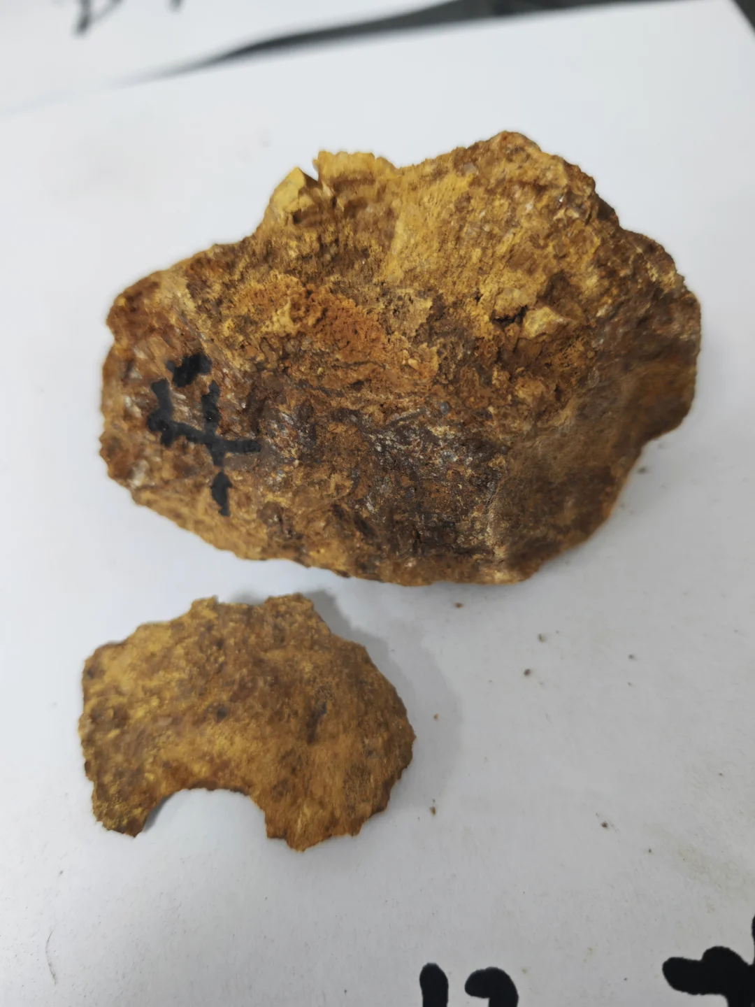 金矿石标本 含金量70g/t