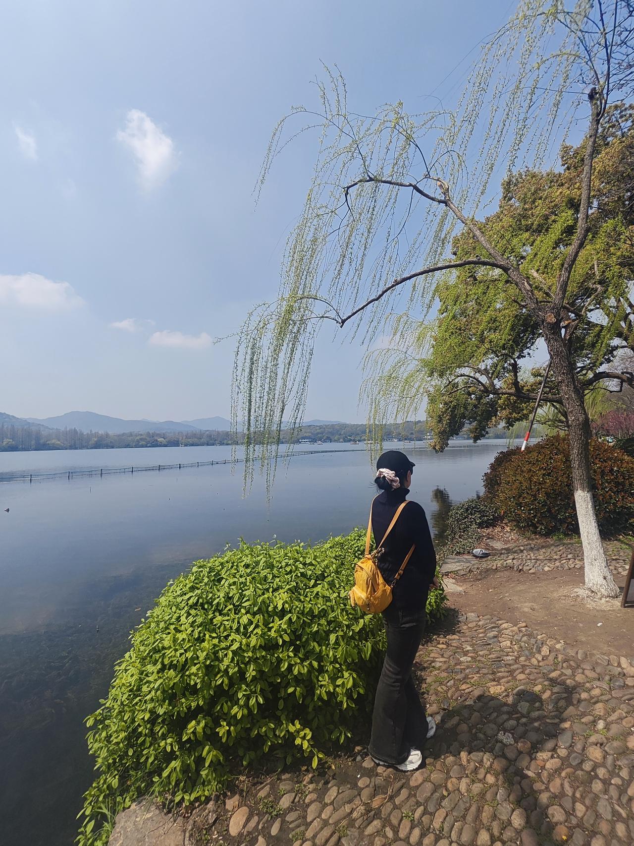 春天给人美好的期望，春天给人带来无限的遐想。在这个美丽的季节还有什么可烦恼的呢？