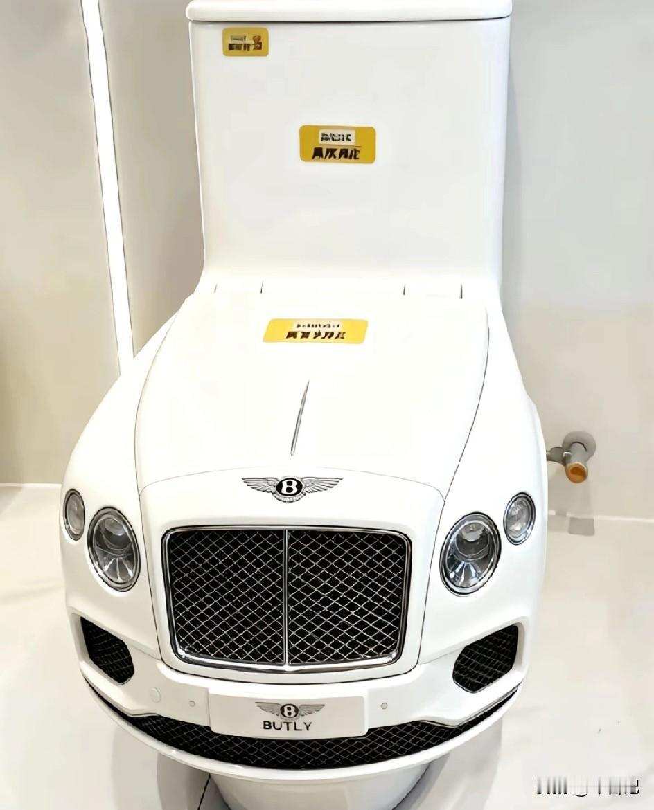 有钱人的马桶都感觉很贵，
你觉得这里面有真的吗？