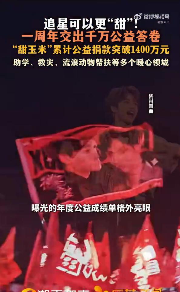 粉丝群体正成为公益领域一股不可忽视的力量。例如“甜玉米”粉丝团（田栩宁、梓渝粉丝