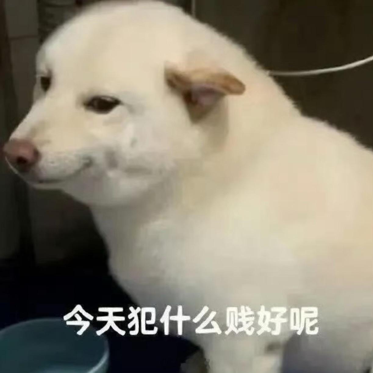 我出不了东北你带一缸酸菜走吧想我的时候就吃一点等吃到露出缸底的时候那真是给你吃美