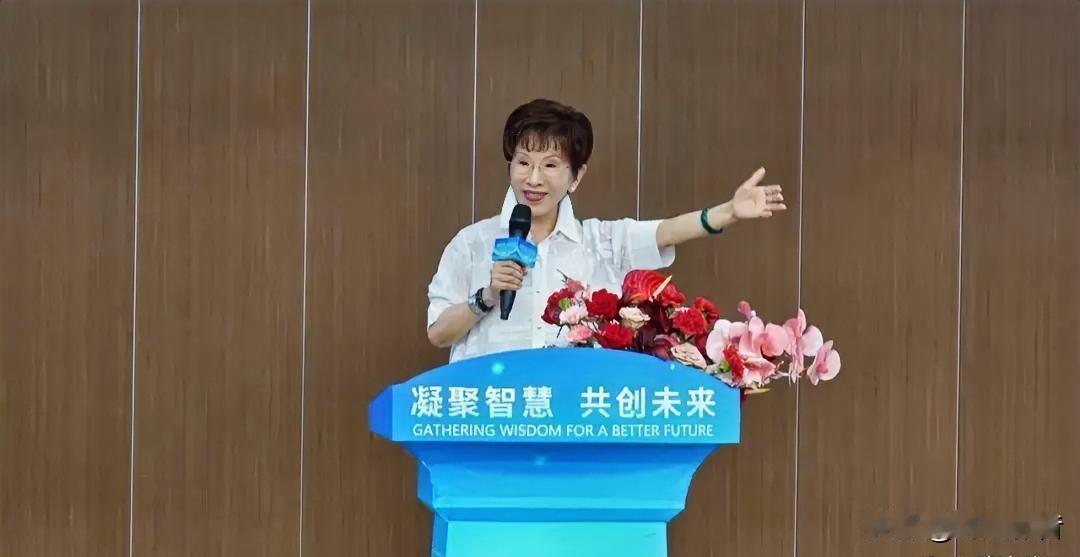 ✨🔥💥洪秀柱参访深圳感慨：这座城市的发展，实在令人惊艳
 
中国国民党前主席