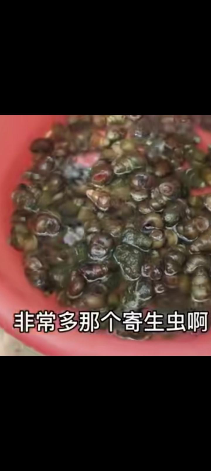 我不敢吃田螺，即使好吃也不敢。
地摊上老板哗哗地炒，
问题是随便用水涮一下立刻下