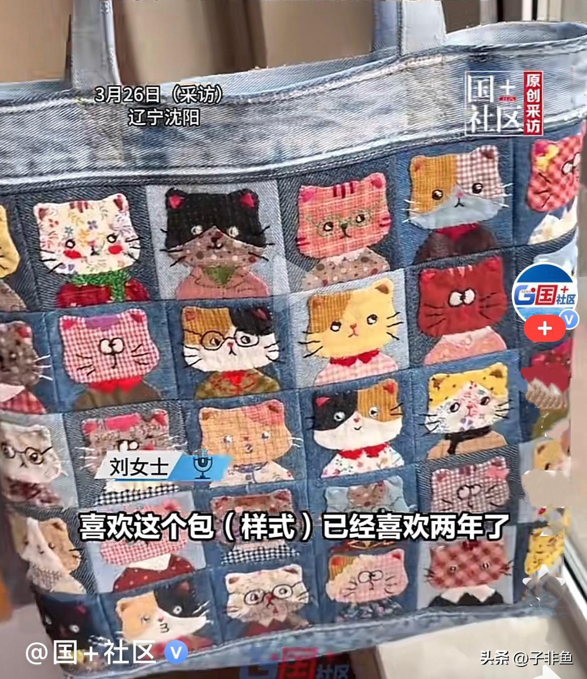 辽宁沈阳的刘女士平时就特别喜欢做手工，好像是开什么店的吧，视频中都是玩具，玩偶，