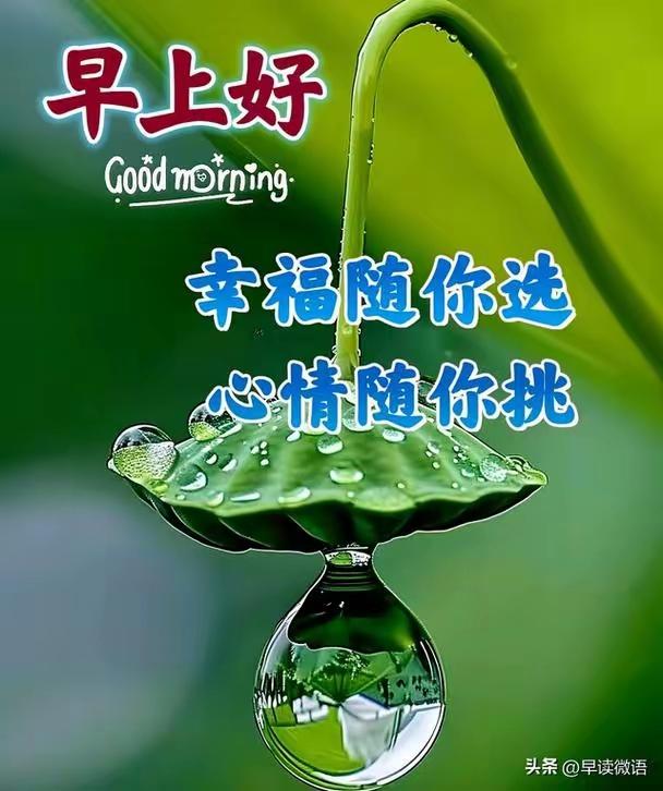 早安呀！清晨的第一缕阳光，温柔地铺满心房，新的一天就此开启。心若简单，世界皆温柔