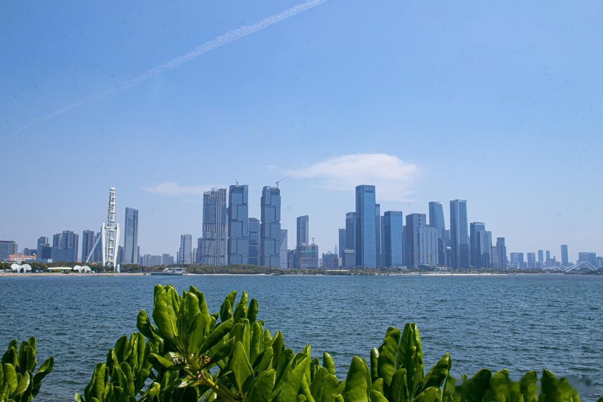 【法定代表人：章程是控制权真正的“防火墙”】法定代表人，绝非“橡皮图章”，而是公