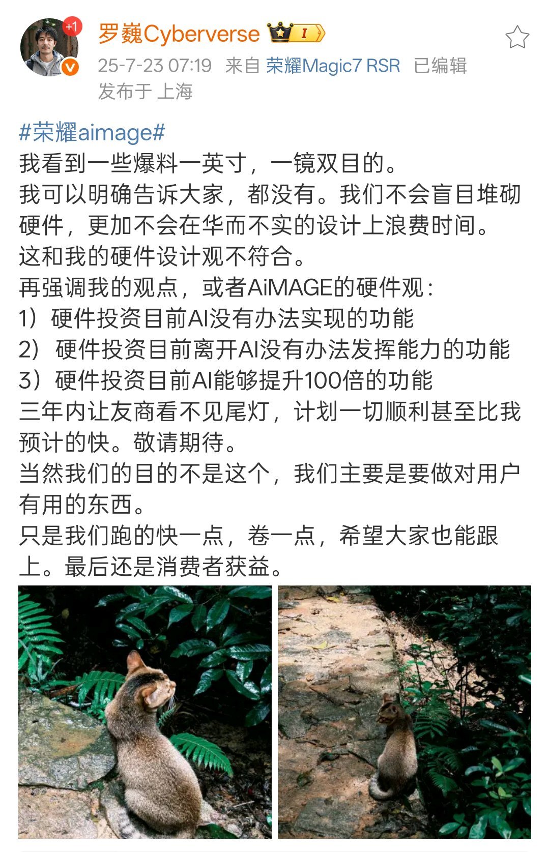 影像大佬罗巍表示硬件投资目前AI实现不了的功能，计划一切顺利比预计的要快。看来M