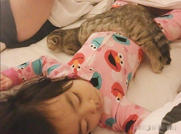 猫：“小铲屎别着凉，我给你盖条毯子吧。