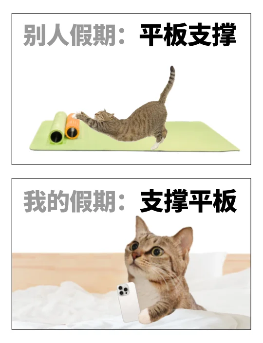 别人的假期VS我的假期