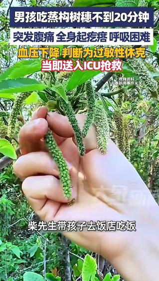 “悲剧还是发生了！”河南许昌，一男子带儿子去饭店吃饭，点了一份蒸构树穗，不料，吃