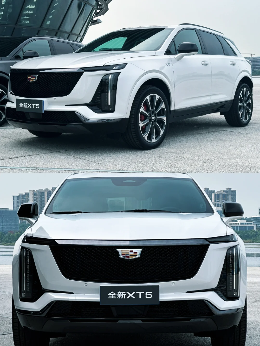 那么多人买白色车，我知道为啥了