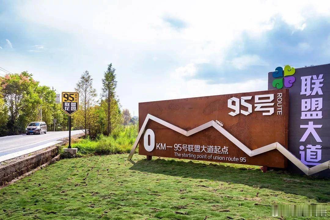 全球免费游衢州 【11/29-12/1 自驾95号公路丨探寻三省交界处衢州古城】