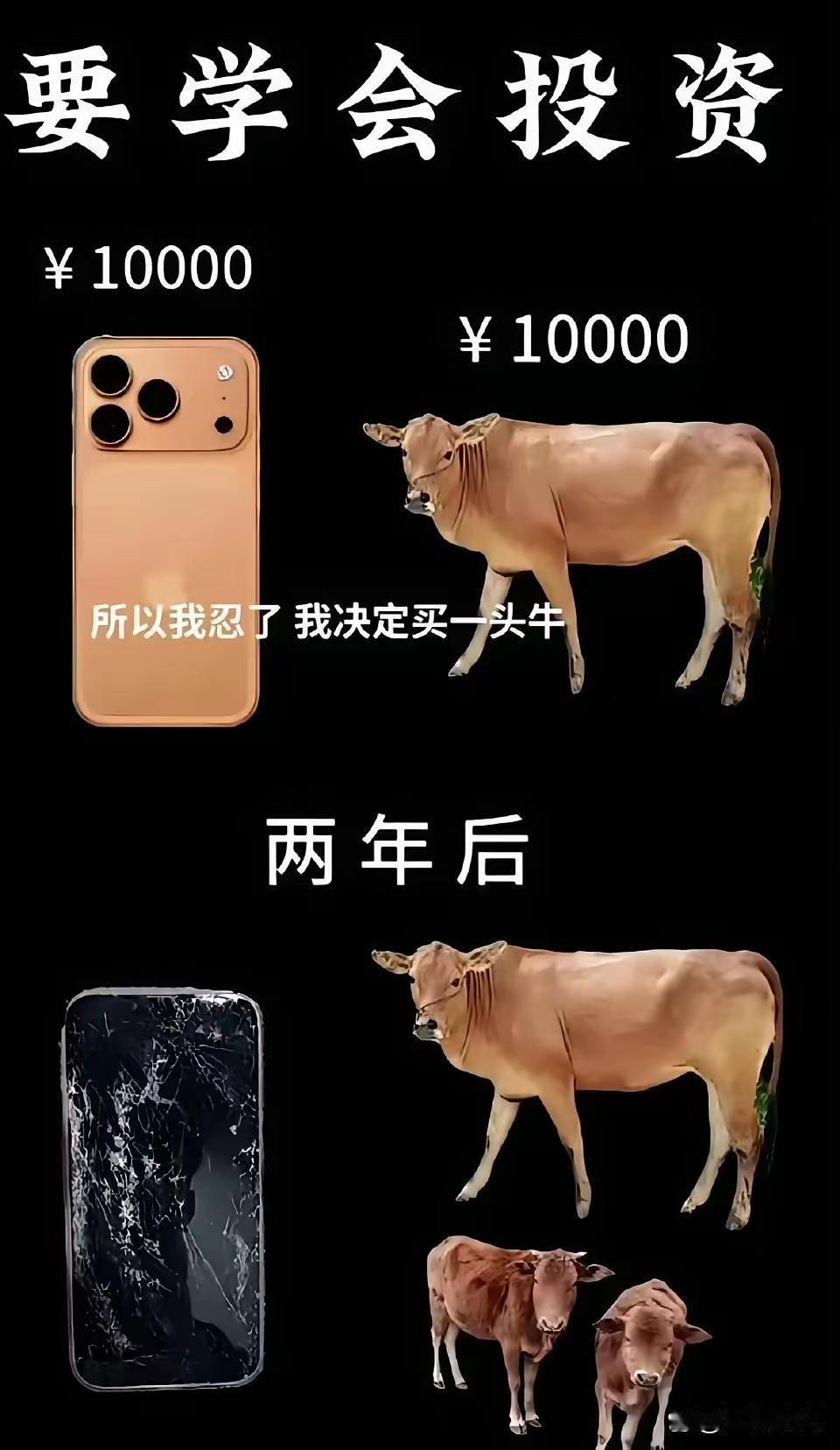 想换手机的心突然释怀了