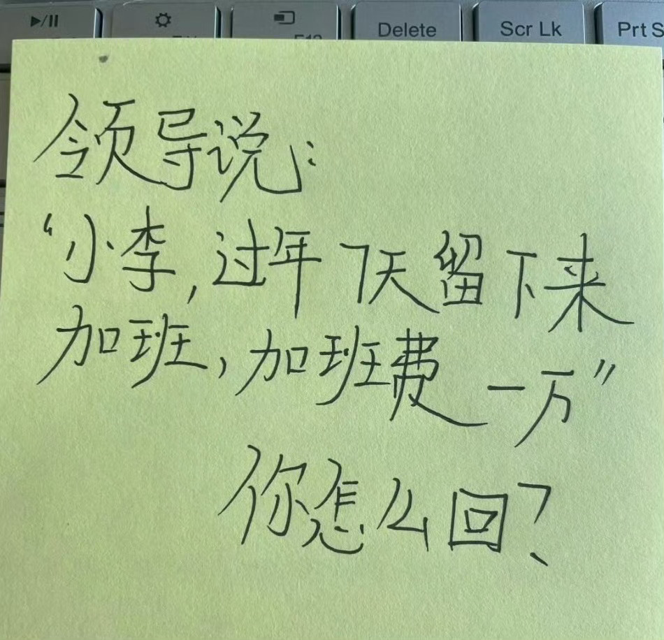 领导说：“过年7天留下来加班，加班费一万” 你怎么回？  