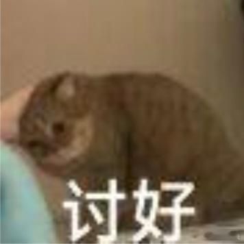 最近没上微博是因为之前的电诈所以换手机换号码了捏，结果新号上一个主人30天内解绑