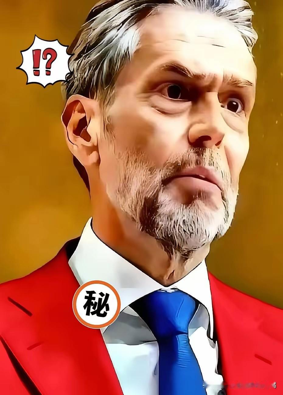 荷兰近几日放出狠话：如果东方大国断供稀土，就会采取反制措施。荷兰的EUV光刻技术