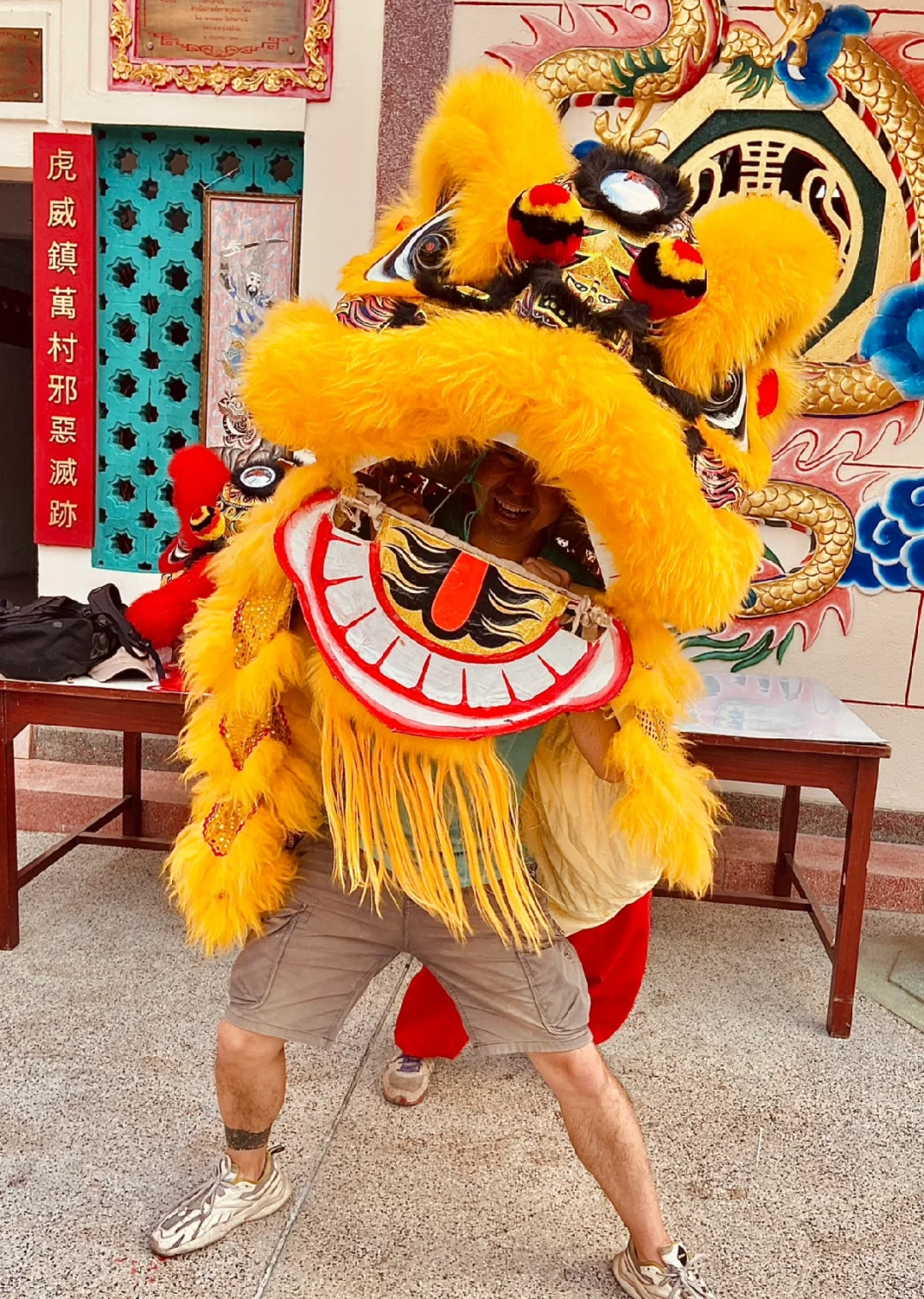 第三次东南亚过年，搜集了越马来泰雄狮少年