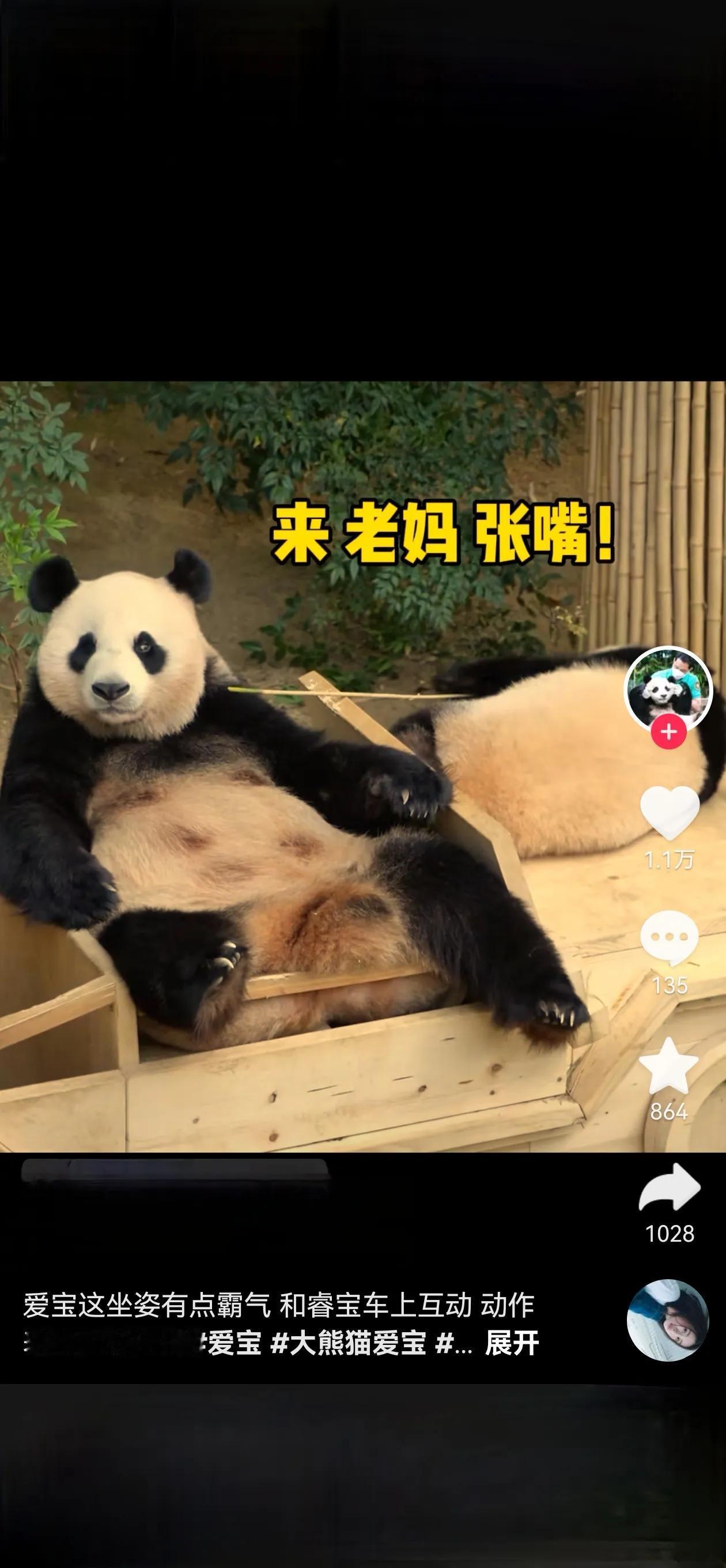 来吧，快炫我嘴里[大金牙]