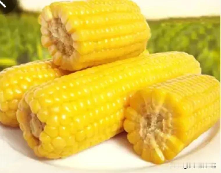 上起床8:00不到，婆婆就从菜地里摘了一篮子豆角及玉米回来，剥开玉米壳，放进高压