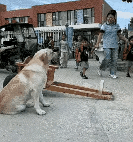 虽然感觉这画面不像是真实的，哪怕就是AI生成的，但是看着特别有趣，让人开心一笑，