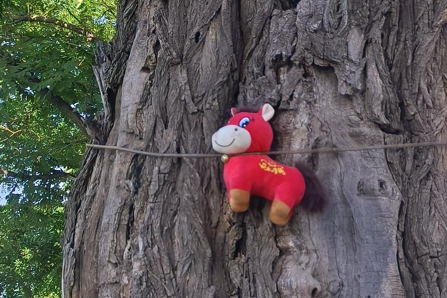 这个马怎么跑到树上去了？我猜想应该是喜欢的人送的，然后不喜欢他以后这个礼物丢了可
