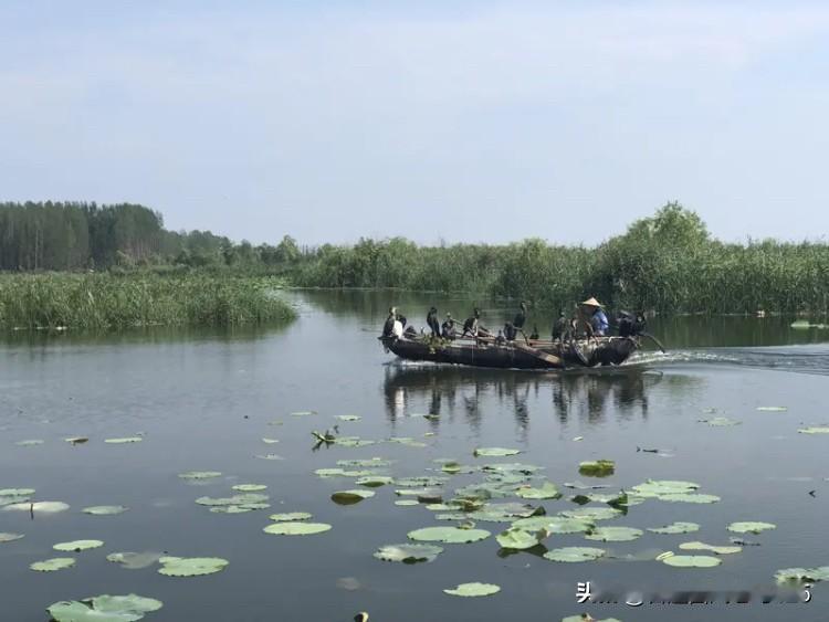 避暑山庄也响起“微山湖上静悄悄…”

上午路过小区娱乐室，阵阵悦耳的民乐伴奏女声