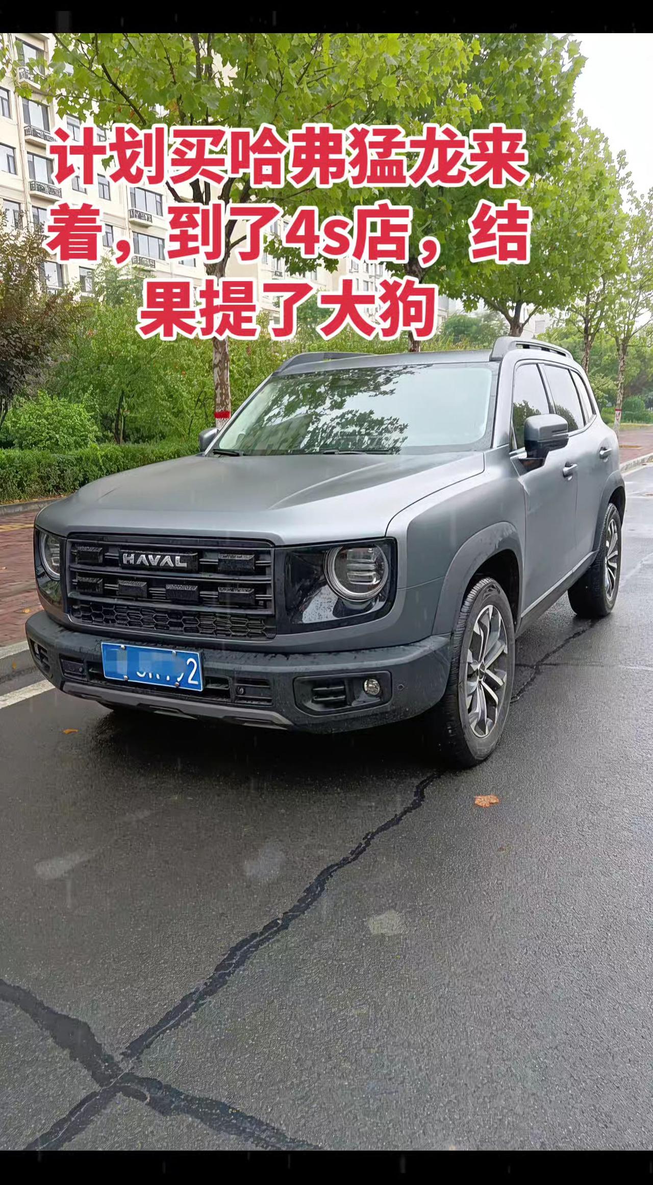 没提哈弗猛龙，又省了几w哈弗大狗哈弗猛龙真实生活分享计划 dou+小助手