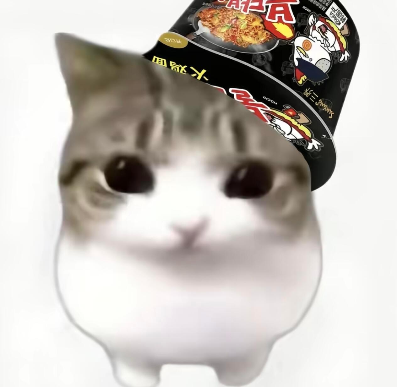 我想🈷️人 女孩们帮我卷卷 哦哦 还有此女一起 