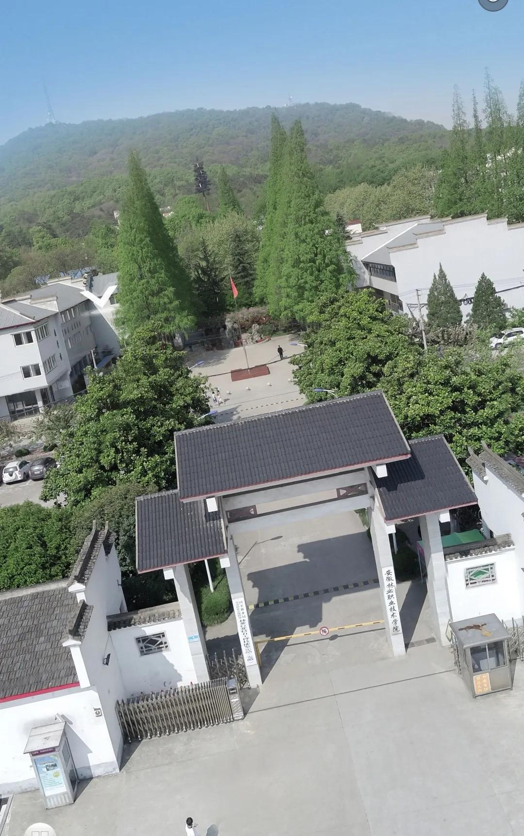 合肥绿化率最高的大学！

很多人会想到安农大，毕竟是干农业的嘛，学校停几辆拖拉机