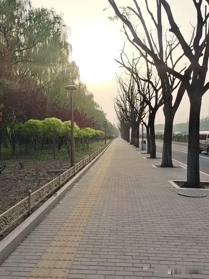 雨落无声，
草色青青，
人间不必太清醒。
且随春风，
缓缓而行。