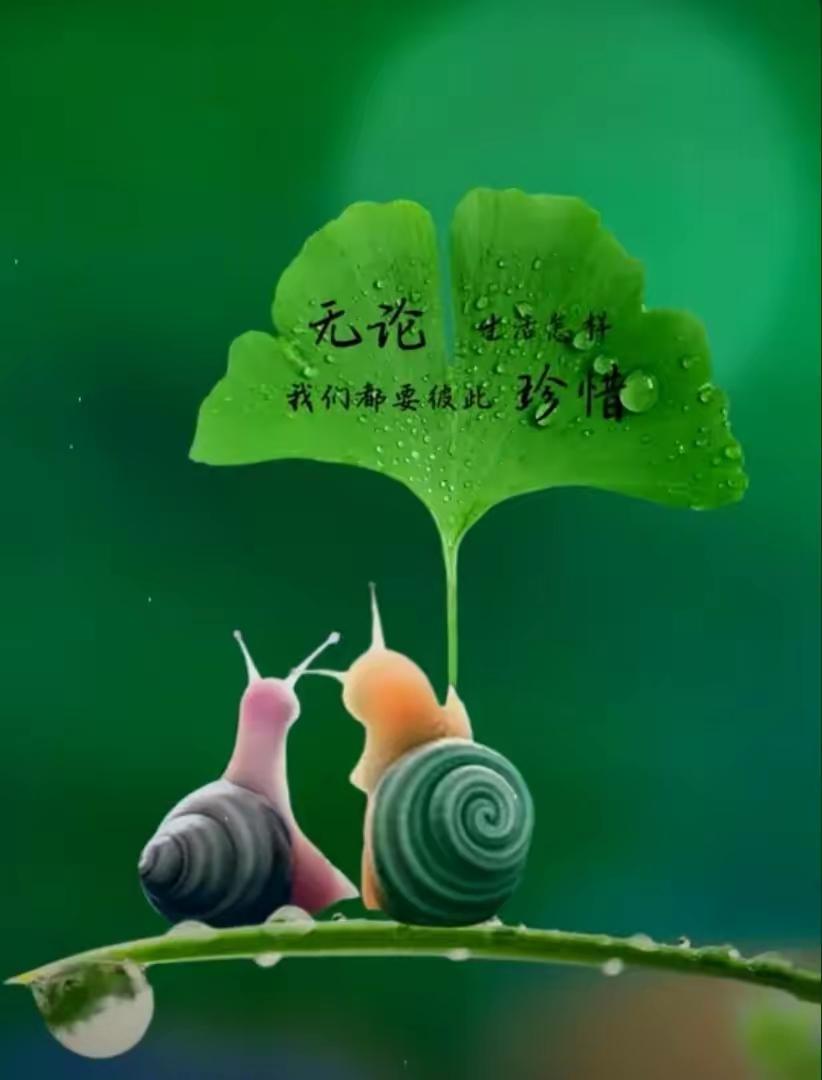 秋风路过枝桠时
我拾起这片带着草木香气的叶子
上面留着阳光的纹路
还有桂风轻轻吻