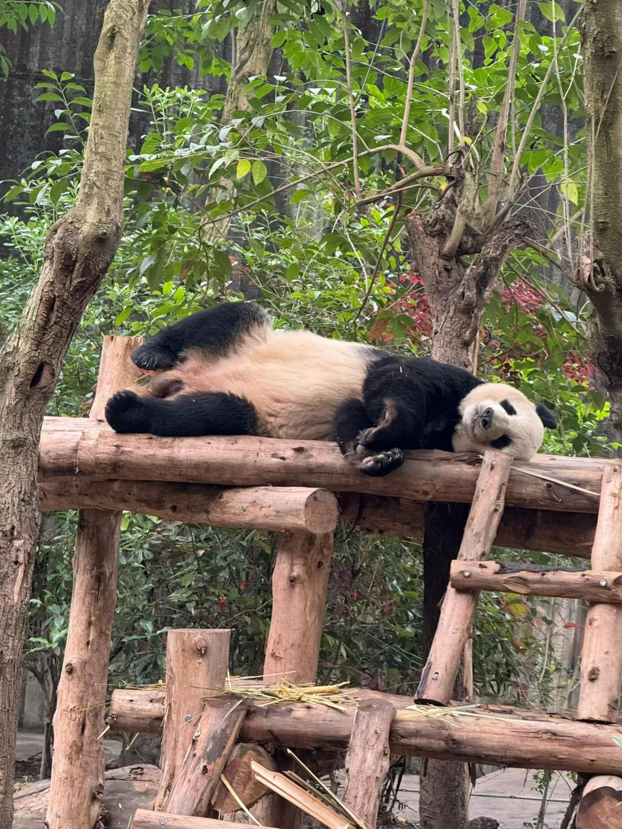 把烦恼都睡没，日子就该这么悠哉～